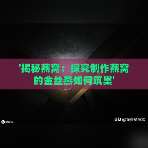 '揭秘燕窝：探究制作燕窝的金丝燕如何筑巢'