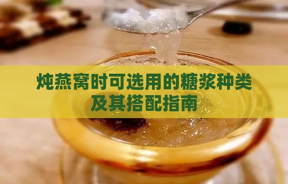 炖燕窝时可选用的糖浆种类及其搭配指南