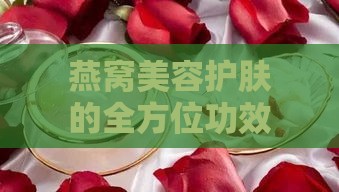 燕窝美容护肤的全方位功效与使用方法解析