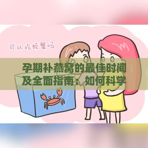 孕期补燕窝的更佳时间及全面指南：如何科学补充，助力胎儿健康发育