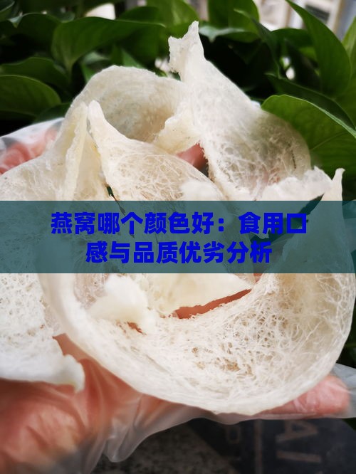 燕窝哪个颜色好：食用口感与品质优劣分析