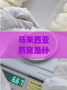 马来西亚燕窝是什么工艺