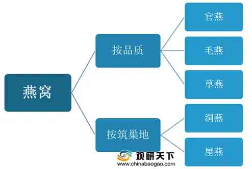 如何为燕窝店起名：涵盖创意命名、市场调研及吸引顾客的策略