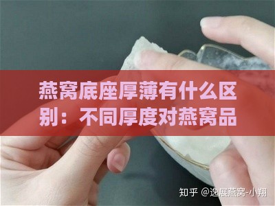 燕窝底座厚薄有什么区别：不同厚度对燕窝品质的影响探究