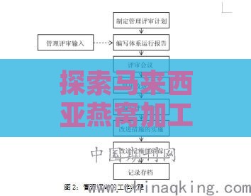 探索马来西亚燕窝加工工艺：特色、流程与品质保障解析