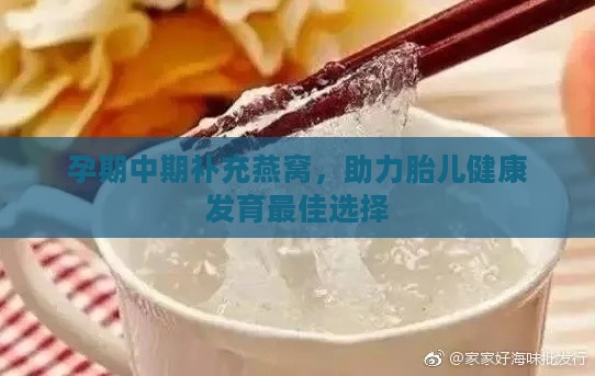 孕期中期补充燕窝，助力胎儿健康发育更佳选择