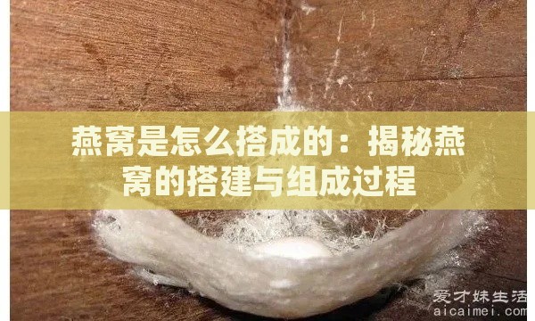 燕窝是怎么搭成的：揭秘燕窝的搭建与组成过程