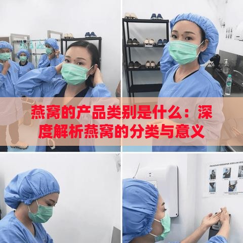 燕窝的产品类别是什么：深度解析燕窝的分类与意义