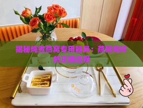 揭秘炖煮燕窝专用器具：燕窝炖杯的正确选择