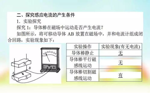 探究燕窝底座：含义、形成、加工工艺及其对品质的影响