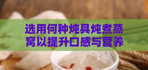 选用何种炖具炖煮燕窝以提升口感与营养