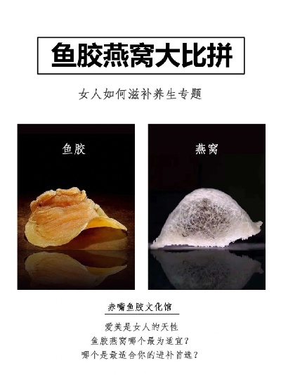 揭秘：燕窝鱼胶的营养价值，是否真的物有所值？