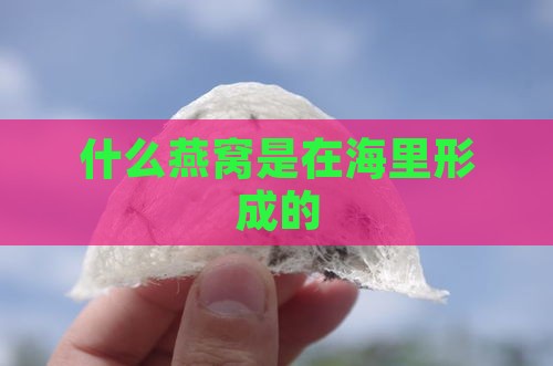 什么燕窝是在海里形成的