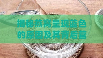 揭秘燕窝呈现蓝色的原因及其背后营养价值和食用注意事项