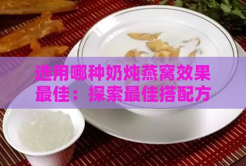 选用哪种奶炖燕窝效果更佳：探索更佳搭配方案