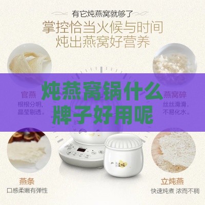 炖燕窝锅什么牌子好用呢