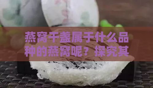 燕窝干盏属于什么品种的燕窝呢？探究其独特品质与分类