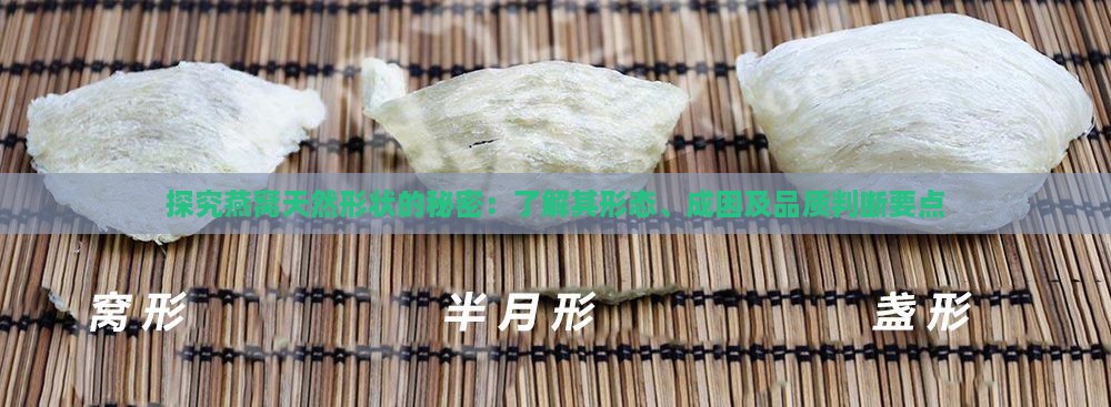 探究燕窝天然形状的秘密：了解其形态、成因及品质判断要点