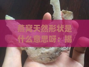 燕窝天然形状是什么意思呀：揭秘天然燕窝的真实形态与特点