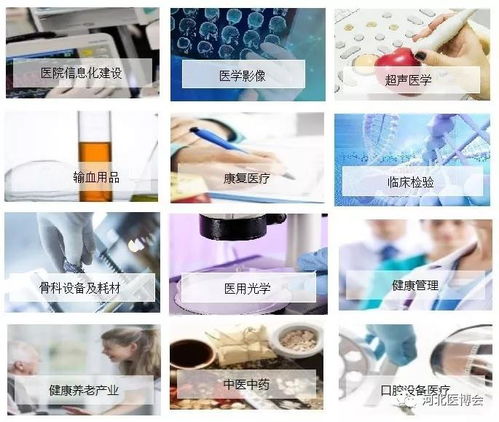 盛燕窝所需器具一览：全面解析燕窝存放与食用工具选择指南