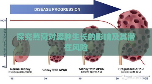 探究燕窝对囊肿生长的影响及其潜在风险