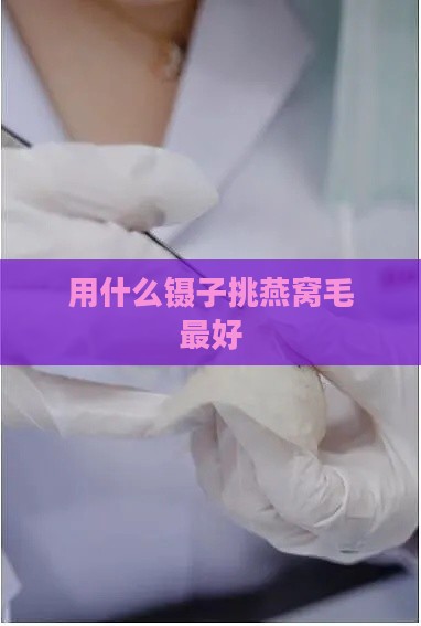 用什么镊子挑燕窝毛更好