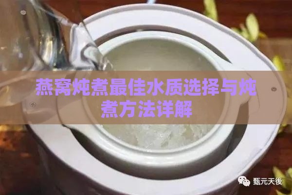 燕窝炖煮更佳水质选择与炖煮方法详解