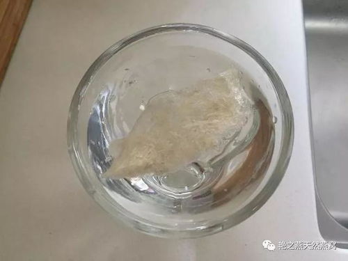 燕窝泡发后质地松散易碎