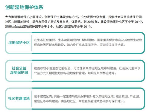 燕窝治疗便秘效果与有效性探究