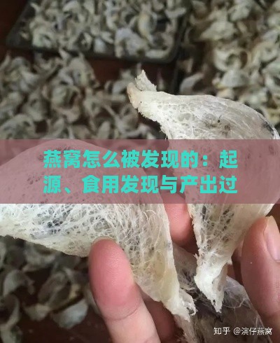 燕窝怎么被发现的：起源、食用发现与产出过程揭秘