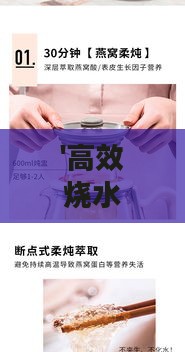 '高效烧水壶炖煮燕窝指南'