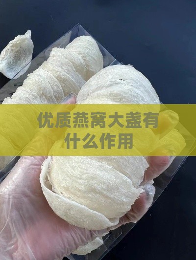 优质燕窝大盏有什么作用