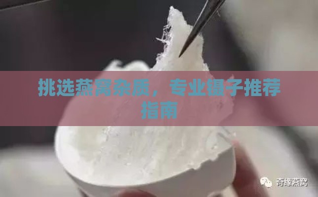 挑选燕窝杂质，专业镊子推荐指南