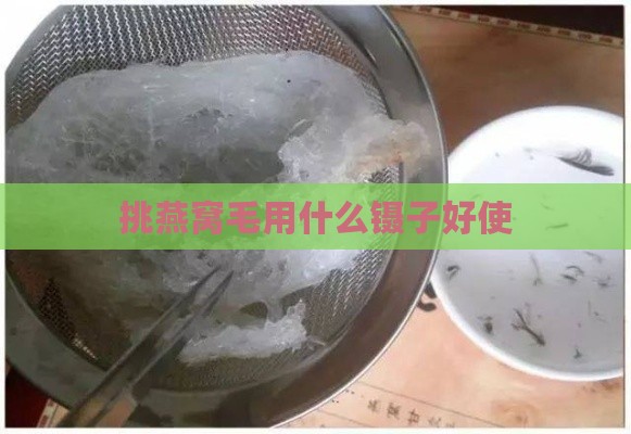 挑燕窝毛用什么镊子好使