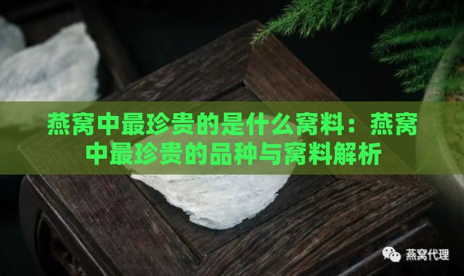 燕窝中最珍贵的是什么窝料：燕窝中最珍贵的品种与窝料解析