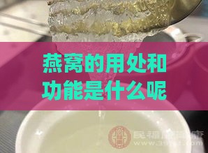 燕窝的用处和功能是什么呢：探讨燕窝的作用与益处