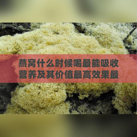 燕窝什么时候喝最能吸收营养及其价值更高效果更佳