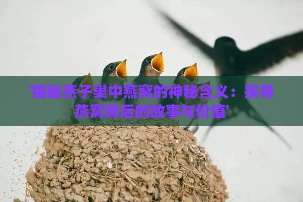 '揭秘燕子巢中燕窝的神秘含义：探寻燕窝背后的故事与价值'