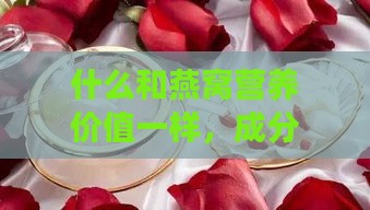 什么和燕窝营养价值一样，成分功效相似的食物有哪些？