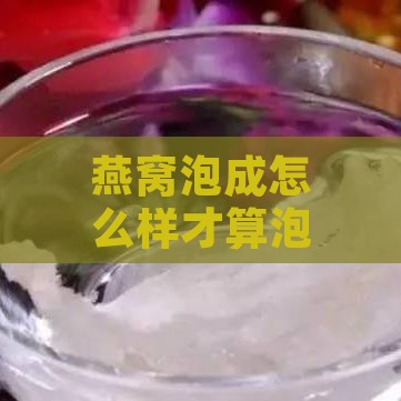 燕窝泡成怎么样才算泡好了：如何判断燕窝泡发完全的标准