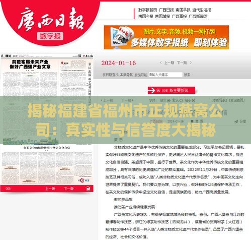 揭秘福建省福州市正规燕窝公司：真实性与信誉度大揭秘