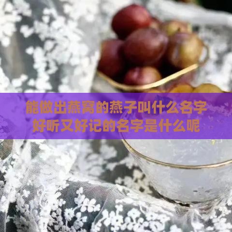 能做出燕窝的燕子叫什么名字好听又好记的名字是什么呢