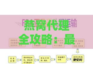 燕窝代理全攻略：更低拿货量、投资成本及选择详解