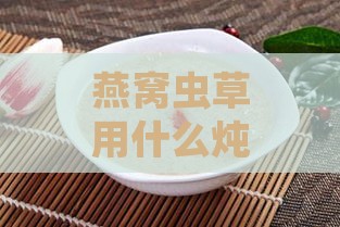 燕窝虫草用什么炖更好呢女性食用与饮用推荐