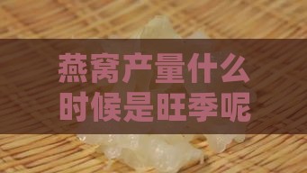 燕窝产量什么时候是旺季呢：燕窝哪个季节产量更高？