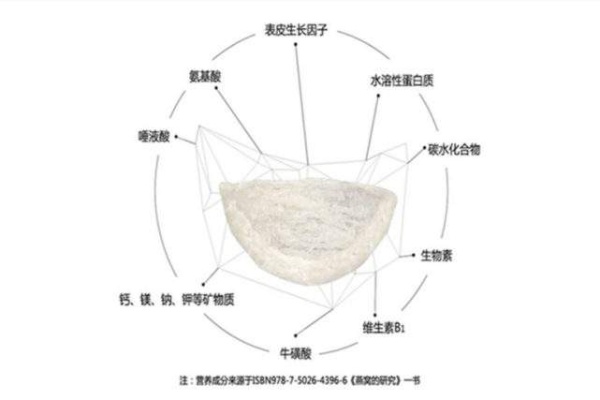 金丝燕繁殖周期解析：燕窝采集的旺季与淡季分布探究