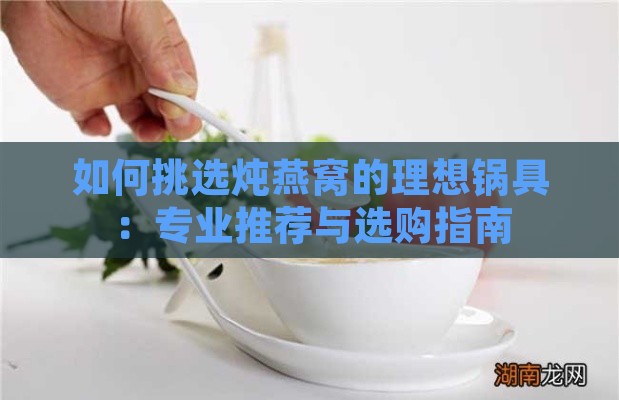 如何挑选炖燕窝的理想锅具：专业推荐与选购指南