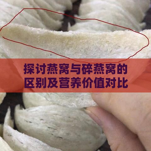 探讨燕窝与碎燕窝的区别及营养价值对比