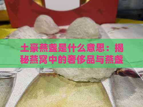 土豪燕盏是什么意思：揭秘燕窝中的奢侈品与燕盏的珍贵价值