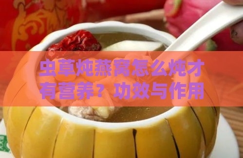 虫草炖燕窝怎么炖才有营养？功效与作用及做法详解